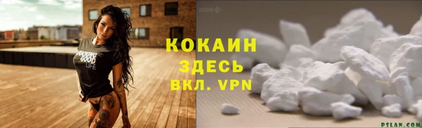 не бодяженный Волоколамск