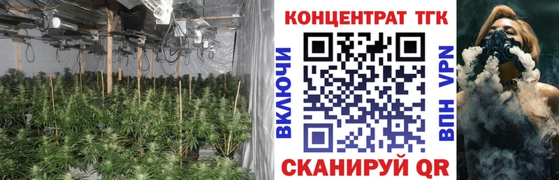 ТГК вейп с тгк  KRAKEN ONION  Энгельс 