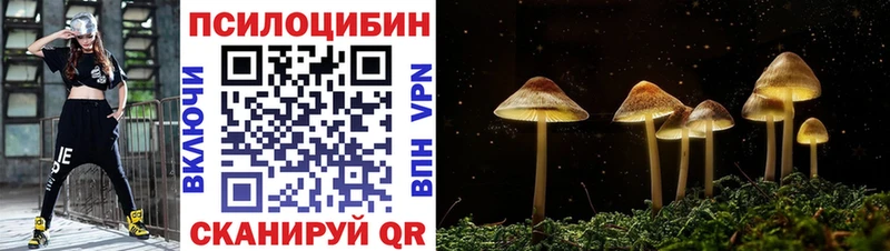 Псилоцибиновые грибы Cubensis  Энгельс 
